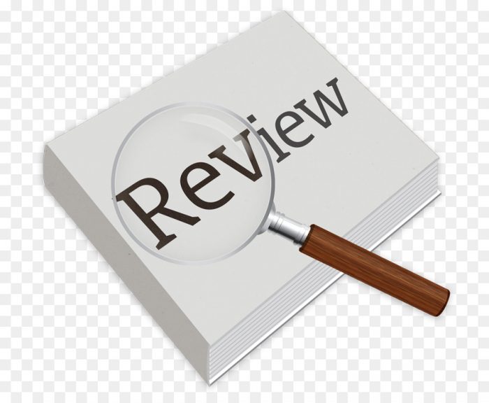 Article Review Service